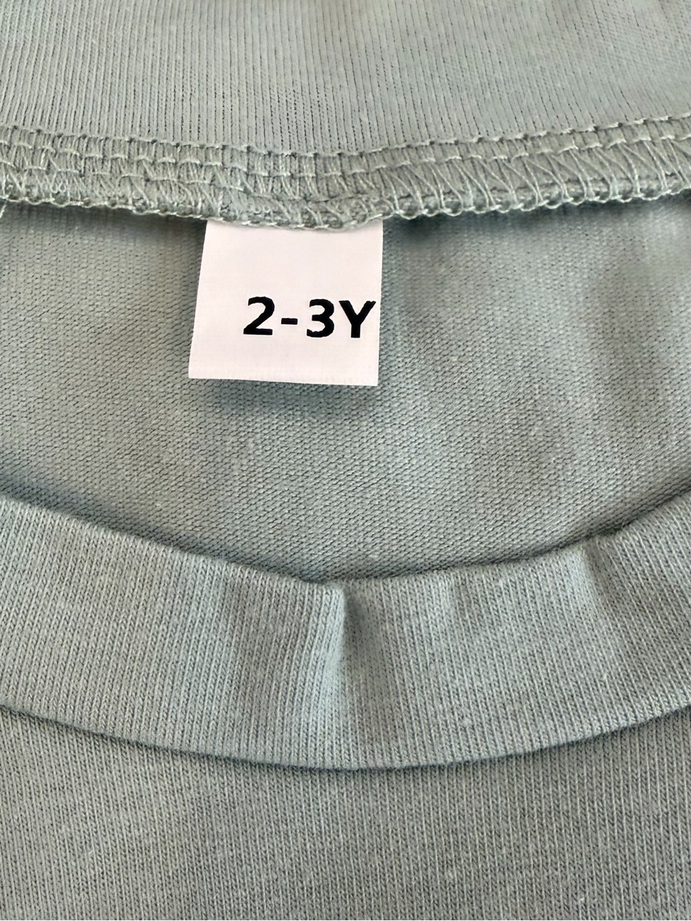 ๐ Pumpkin Applique Shorts Set in Sage Green & Orange Gingham NWT - Picture 6 of 6